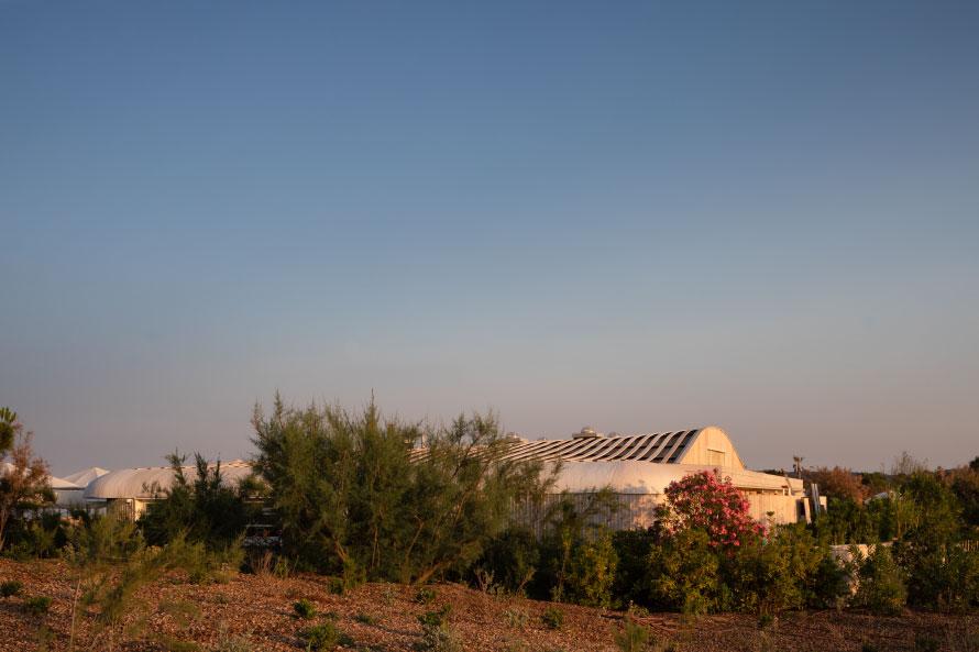 atelier-architecture-philippe-etablissement-de-plage-les-palmiers-plage-de-pampelonne-ramatuelle-83-2368.jpg